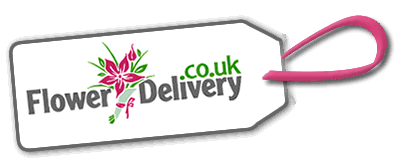 We want to make it easier for you to find the best flower arrangements at a great price. We have over 2500 flower delivery arrangements listed from all of the major on-line florists.